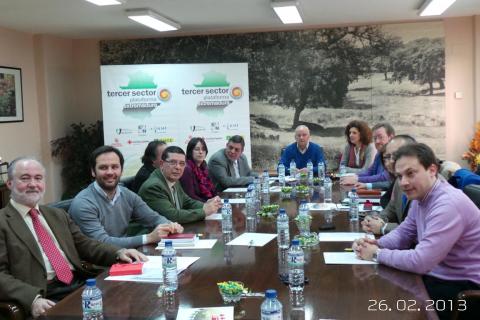 Imagen de la mesa de trabajo en un momento de la Asamblea General de la Plataforma del Tercer Sector en Extremadura.