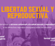 Reivindicación 7: Libertad sexual y reproductiva. Reclamamos el acceso universal a la salud sexual y reproductiva y a los derechos reproductivos para todas las mujeres. 